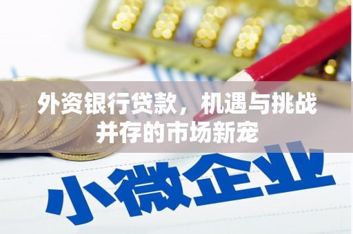 虎尾外资银行贷款，机遇与挑战并存的市场新宠