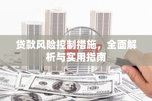 虎尾贷款风险控制措施，全面解析与实用指南
