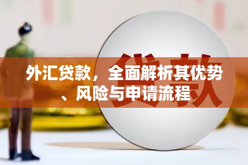 虎尾外汇贷款，全面解析其优势、风险与申请流程