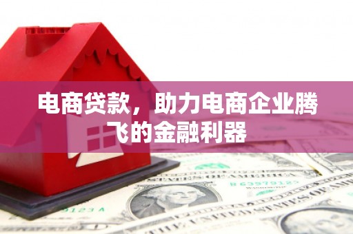 虎尾电商贷款，助力电商企业腾飞的金融利器