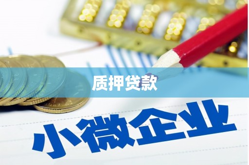 虎尾质押贷款