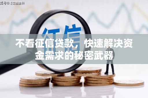 虎尾不看征信贷款，快速解决资金需求的秘密武器