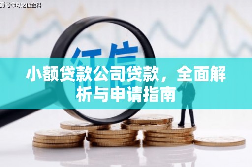 虎尾小额贷款公司贷款，全面解析与申请指南