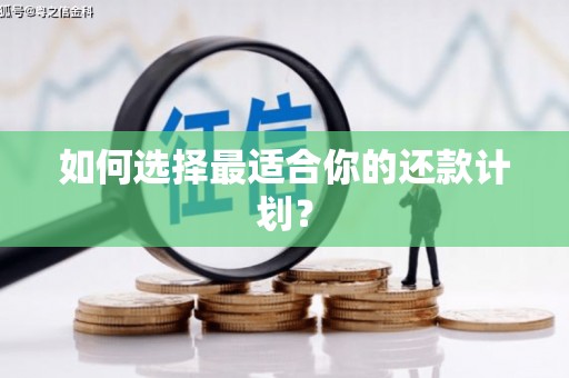 虎尾如何选择最适合你的还款计划？
