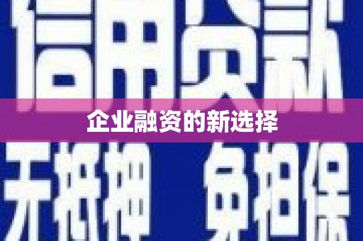 虎尾企业融资的新选择