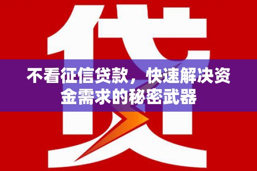 虎尾不看征信贷款，快速解决资金需求的秘密武器