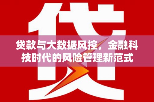 虎尾贷款与大数据风控，金融科技时代的风险管理新范式