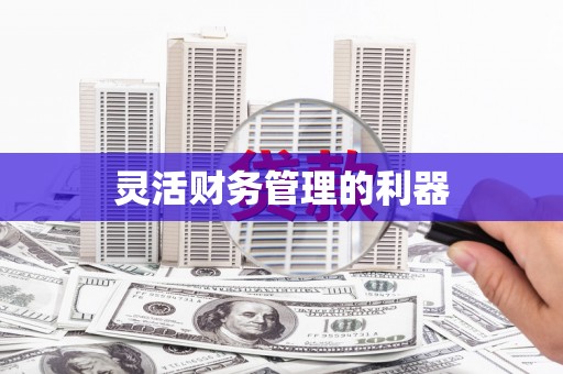虎尾灵活财务管理的利器