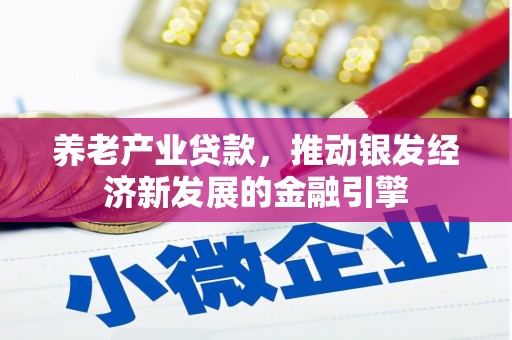 虎尾养老产业贷款，推动银发经济新发展的金融引擎