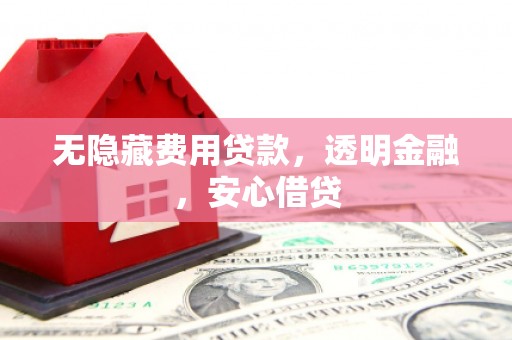 虎尾无隐藏费用贷款，透明金融，安心借贷