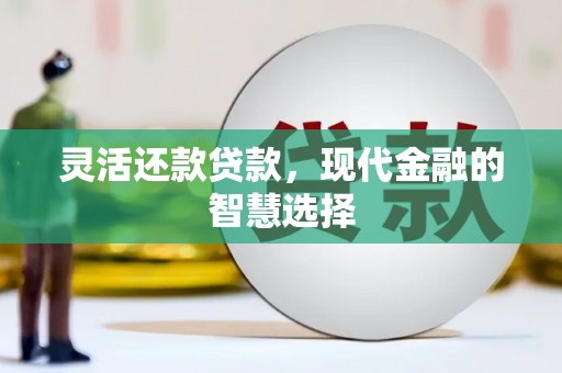 虎尾灵活还款贷款，现代金融的智慧选择