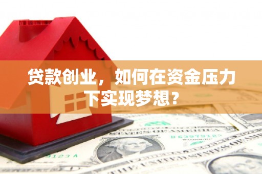 虎尾贷款创业，如何在资金压力下实现梦想？