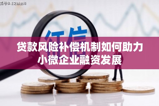 虎尾贷款风险补偿机制如何助力小微企业融资发展