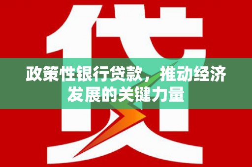 虎尾政策性银行贷款，推动经济发展的关键力量