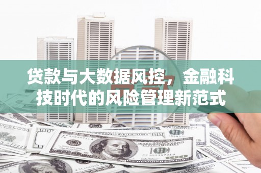 虎尾贷款与大数据风控，金融科技时代的风险管理新范式