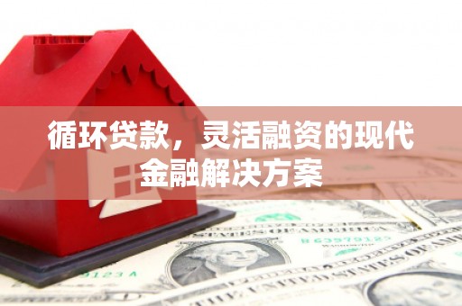 虎尾循环贷款，灵活融资的现代金融解决方案