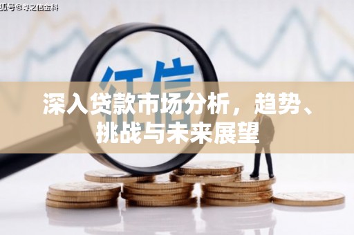 虎尾深入贷款市场分析，趋势、挑战与未来展望