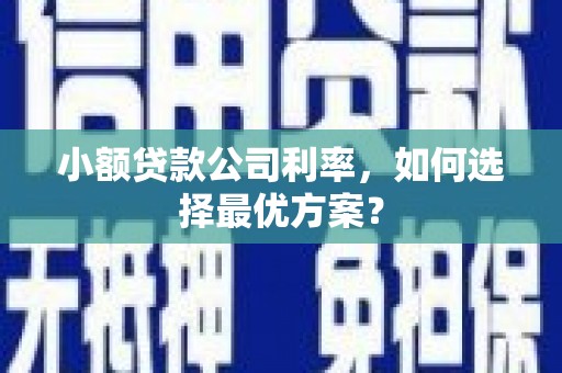 虎尾小额贷款公司利率，如何选择最优方案？