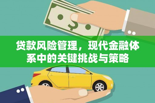 虎尾贷款风险管理，现代金融体系中的关键挑战与策略