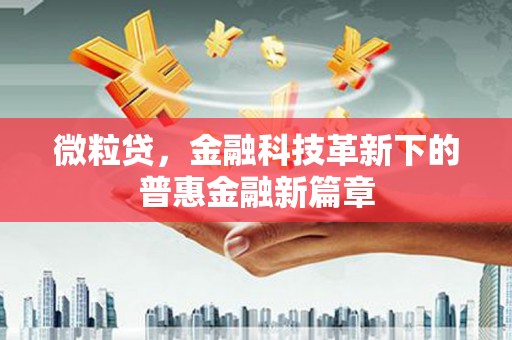 虎尾微粒贷，金融科技革新下的普惠金融新篇章
