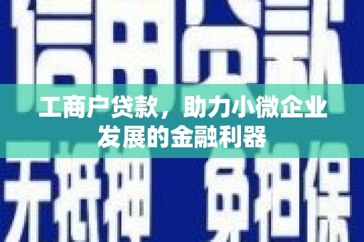 虎尾工商户贷款，助力小微企业发展的金融利器
