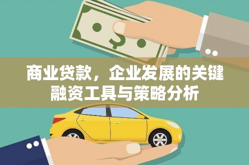 虎尾商业贷款，企业发展的关键融资工具与策略分析