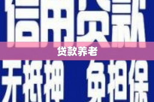 虎尾贷款养老