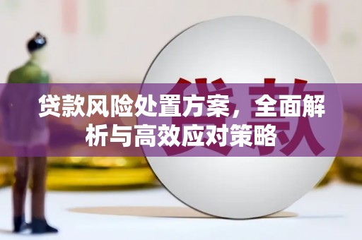 虎尾贷款风险处置方案，全面解析与高效应对策略