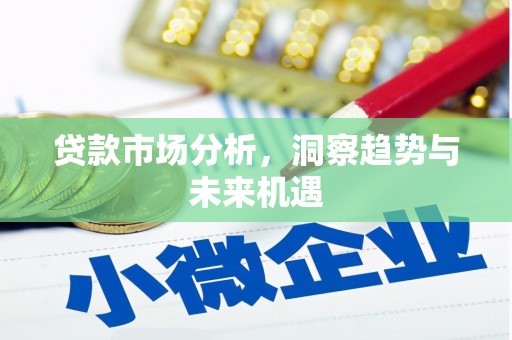 虎尾贷款市场分析，洞察趋势与未来机遇