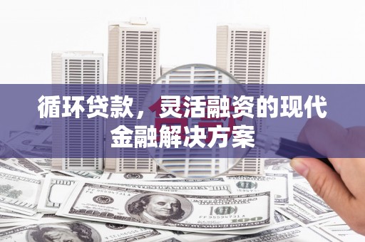 虎尾循环贷款，灵活融资的现代金融解决方案