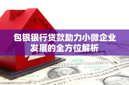 虎尾包银银行贷款助力小微企业发展的全方位解析