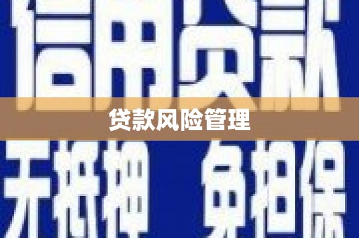 虎尾贷款风险管理