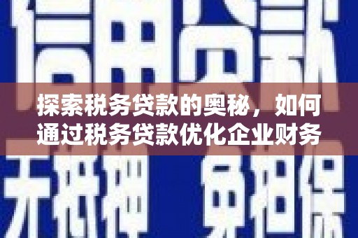 虎尾探索税务贷款的奥秘，如何通过税务贷款优化企业财务
