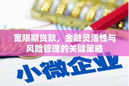 虎尾宽限期贷款，金融灵活性与风险管理的关键策略