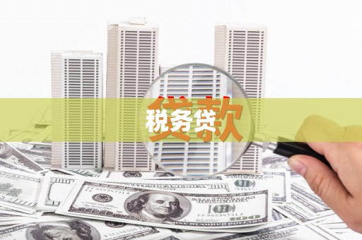 虎尾税务贷