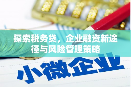 虎尾探索税务贷，企业融资新途径与风险管理策略