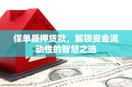 虎尾保单质押贷款，解锁资金流动性的智慧之选