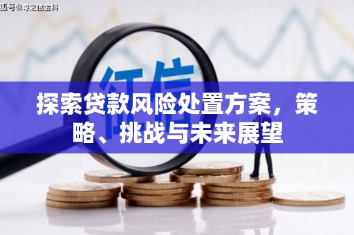 虎尾探索贷款风险处置方案，策略、挑战与未来展望