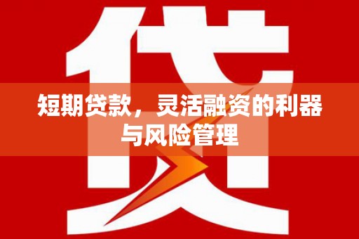 虎尾短期贷款，灵活融资的利器与风险管理