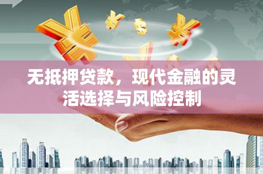 虎尾无抵押贷款，现代金融的灵活选择与风险控制