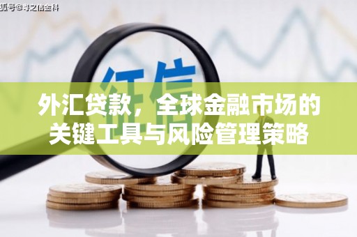 虎尾外汇贷款，全球金融市场的关键工具与风险管理策略