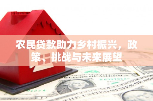 虎尾农民贷款助力乡村振兴，政策、挑战与未来展望