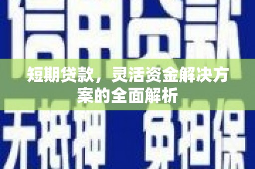 虎尾短期贷款，灵活资金解决方案的全面解析