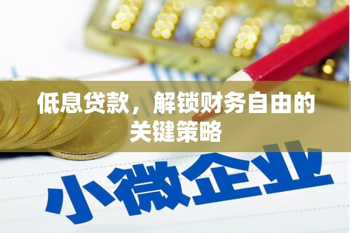 虎尾低息贷款，解锁财务自由的关键策略
