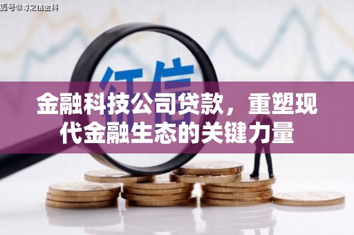 虎尾金融科技公司贷款，重塑现代金融生态的关键力量