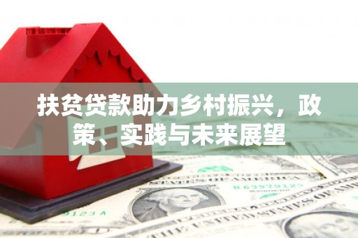 虎尾扶贫贷款助力乡村振兴，政策、实践与未来展望