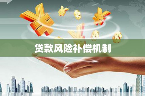 虎尾贷款风险补偿机制