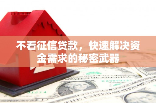 虎尾不看征信贷款，快速解决资金需求的秘密武器