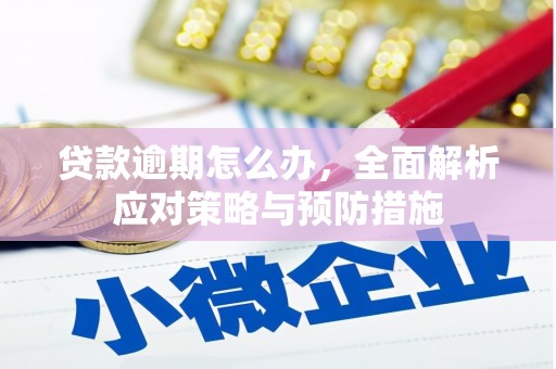 虎尾贷款逾期怎么办，全面解析应对策略与预防措施
