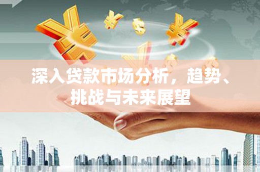 虎尾深入贷款市场分析，趋势、挑战与未来展望